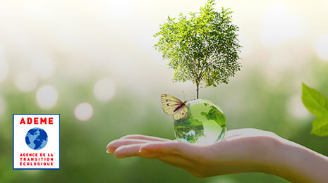 visuel Ademe : main ouverte portant un globe, un arbre et un papillon